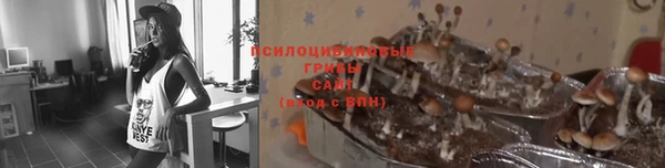 скорость Баксан