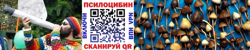 Псилоцибиновые грибы Psilocybine cubensis наркошоп Куртамыш
